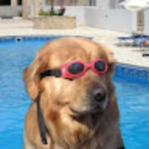 Meet your Posher, Miley